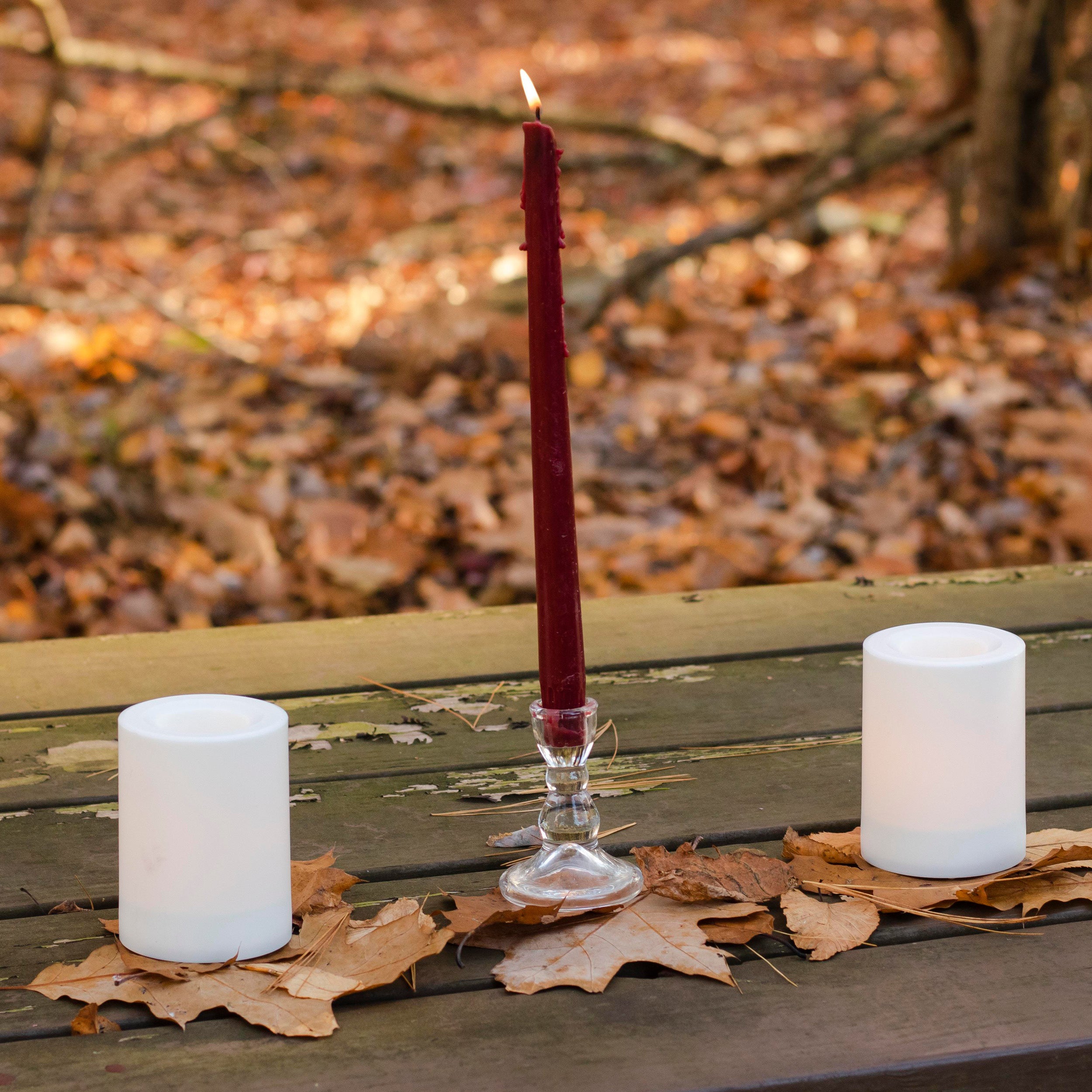 Fun Activities to Do in November