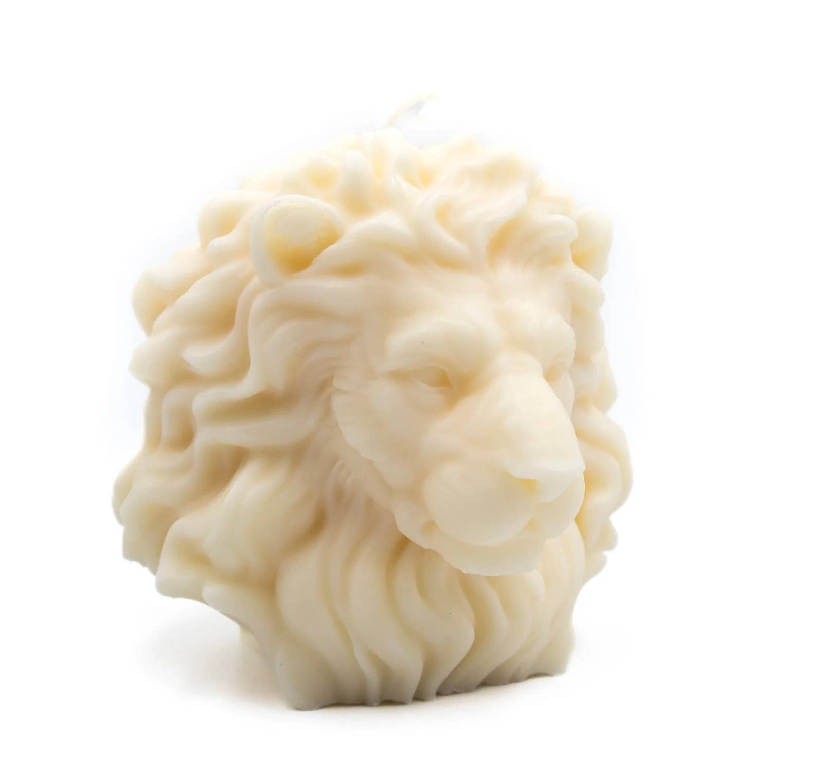 Lion | Pillar