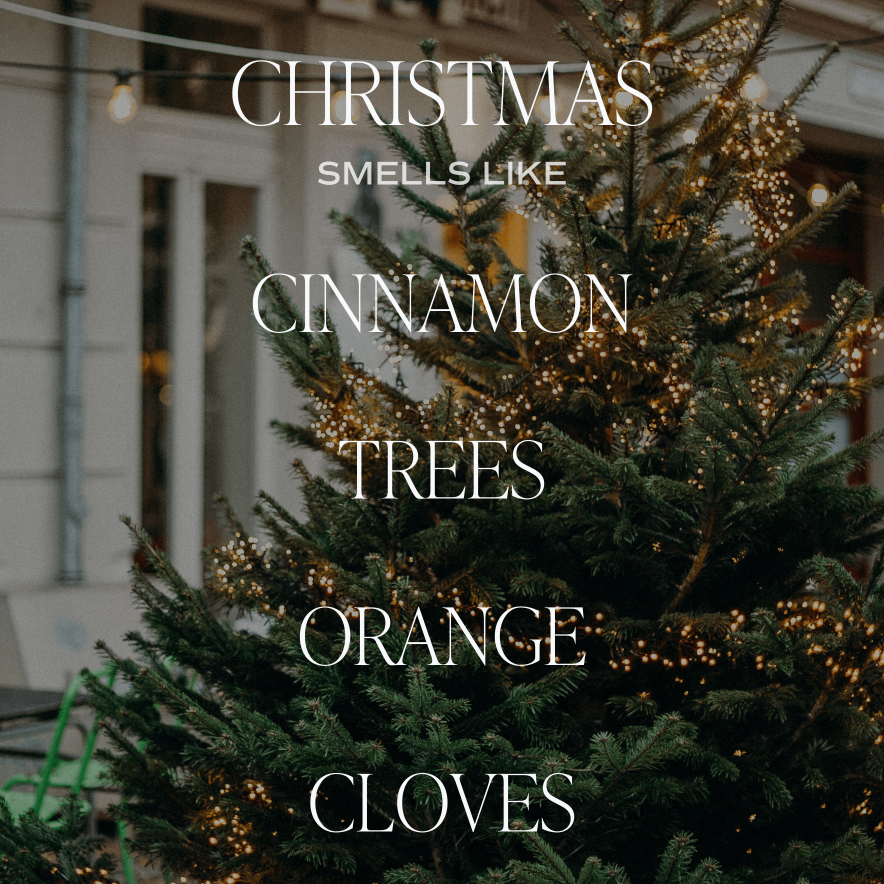 Christmas Amber Reed Diffuser