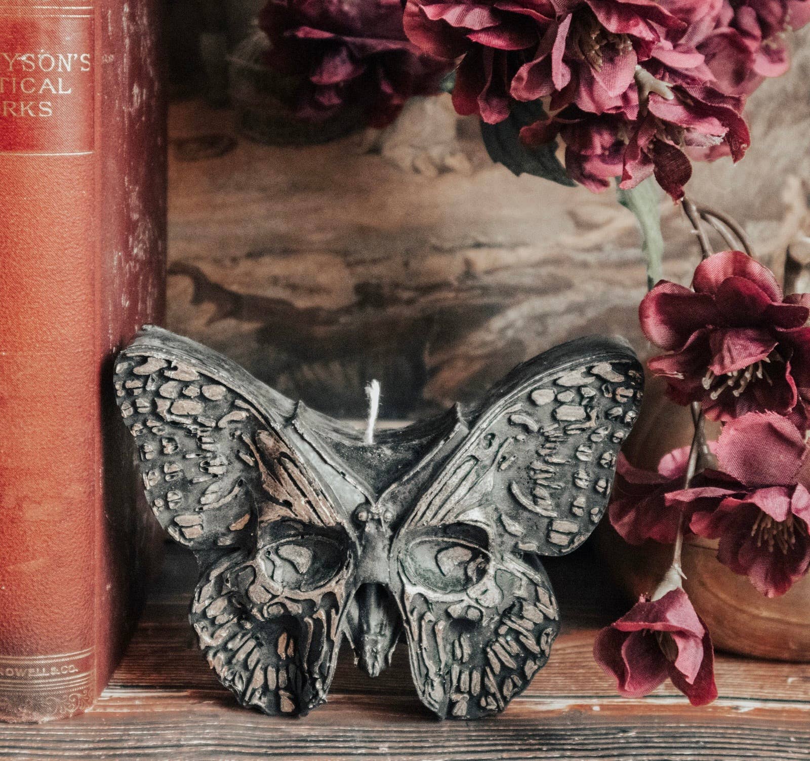 Skull Butterfly | Pillar