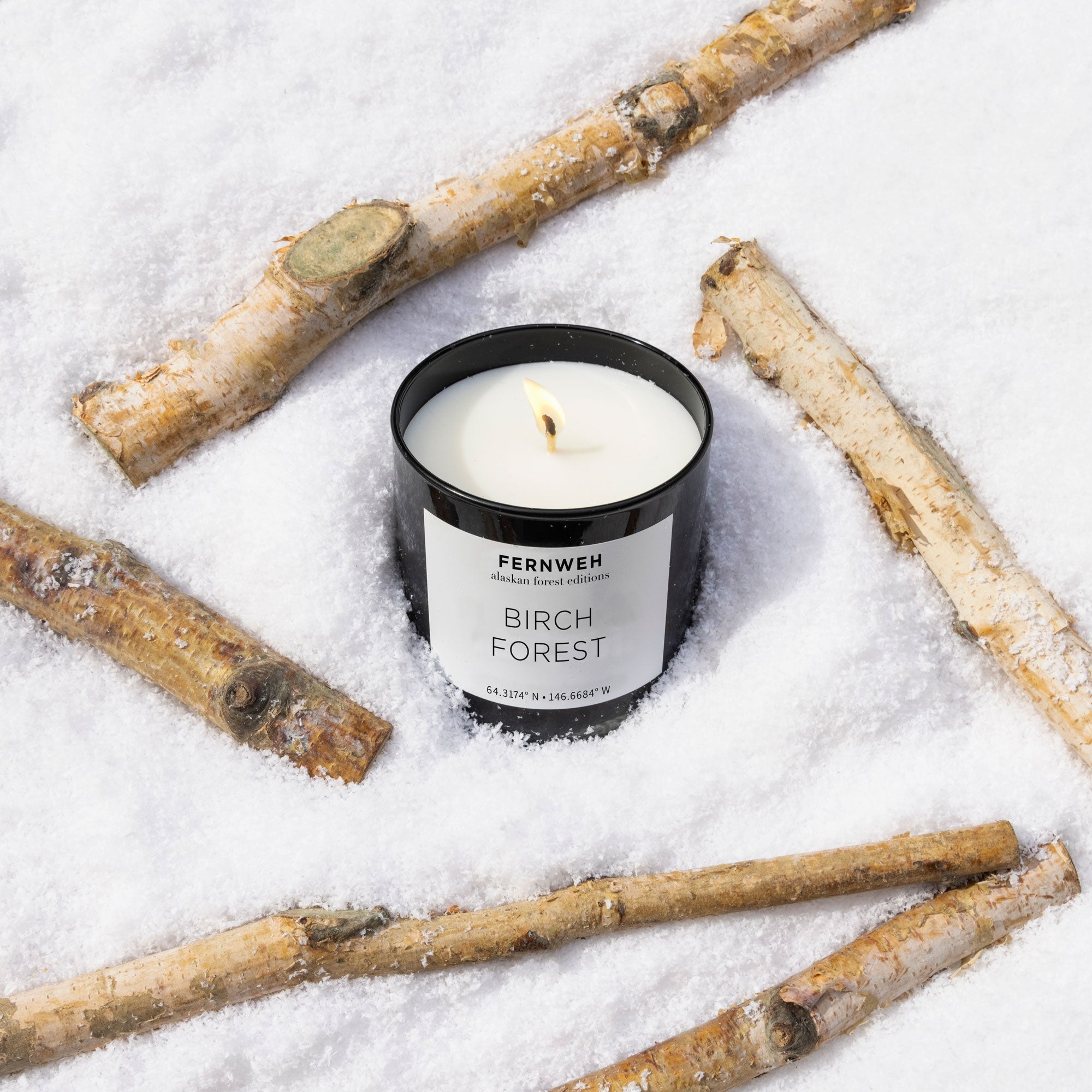 Birch Forest Scented Soy Candle