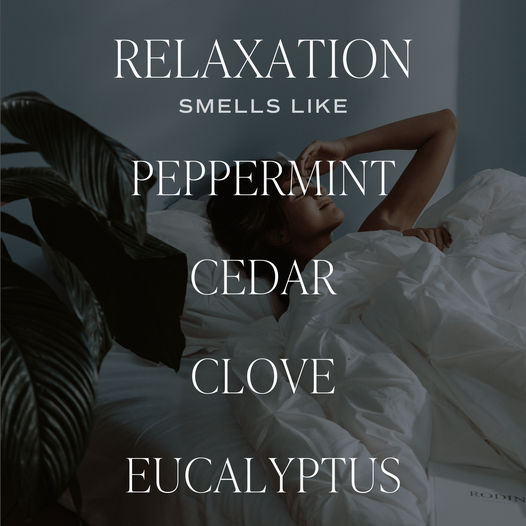 Relaxation Clear Reed Diffuser