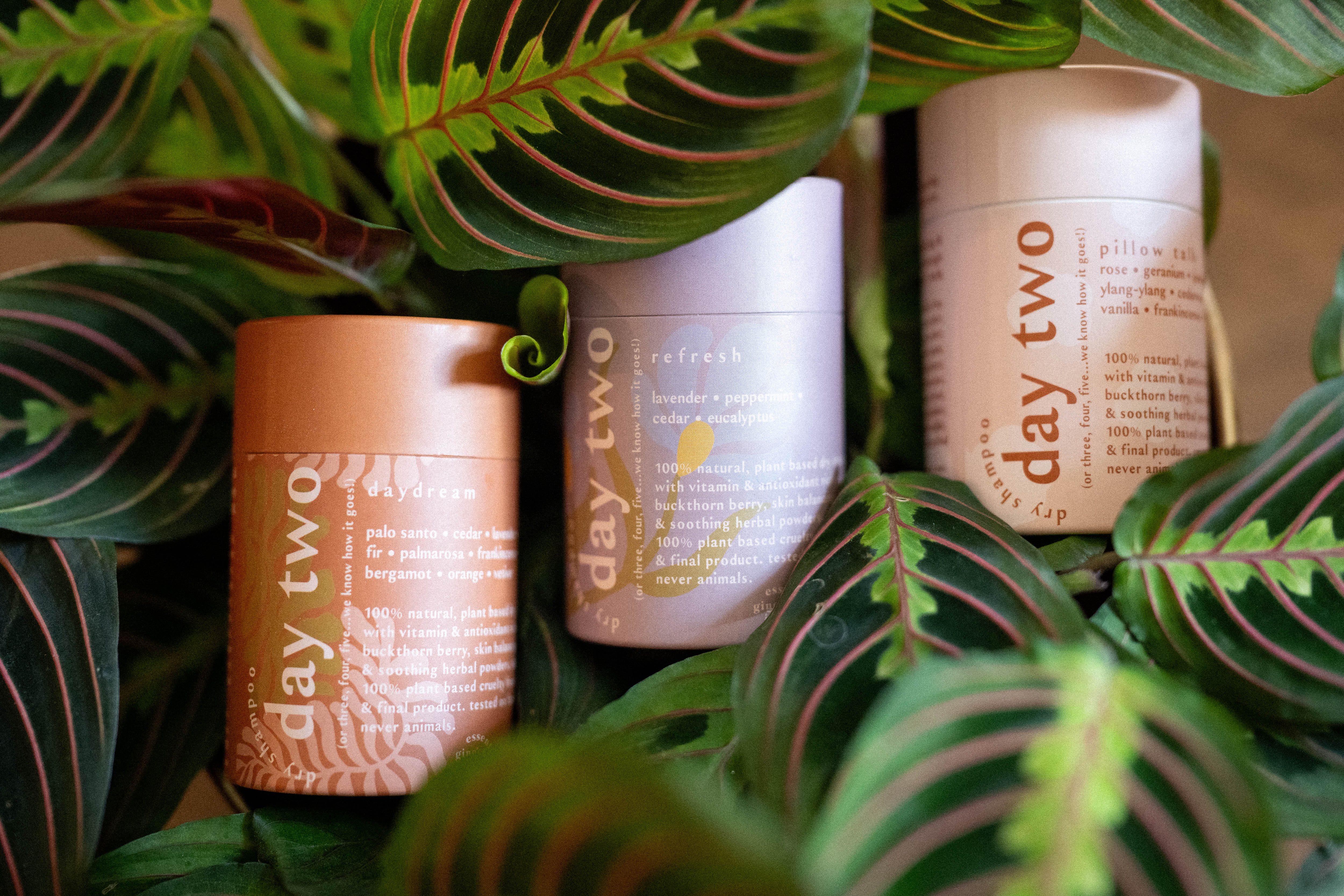 day two • 100% natural dry shampoo