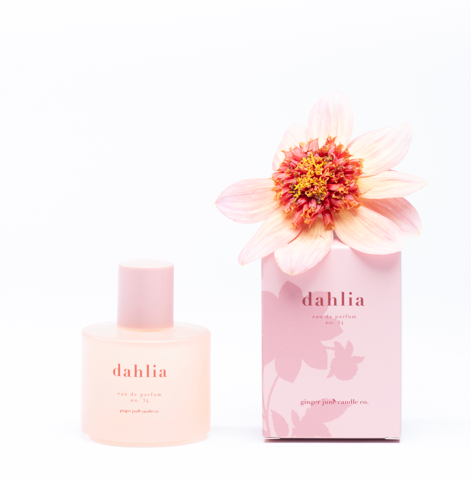 no. 34 dahlia • clean perfume • roll-on or eau de parfum options