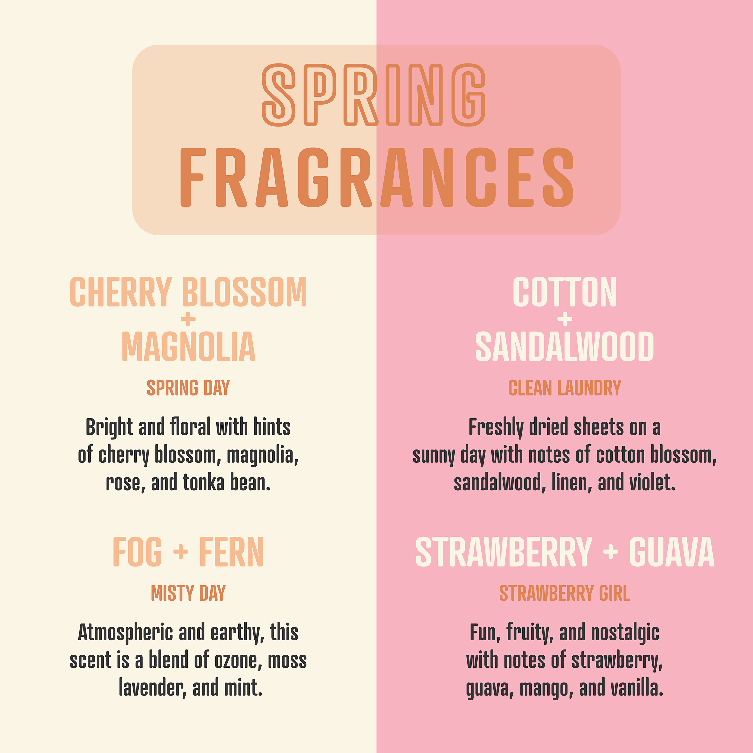 Smells Like Zendaya | Soy Wax Scented Candle