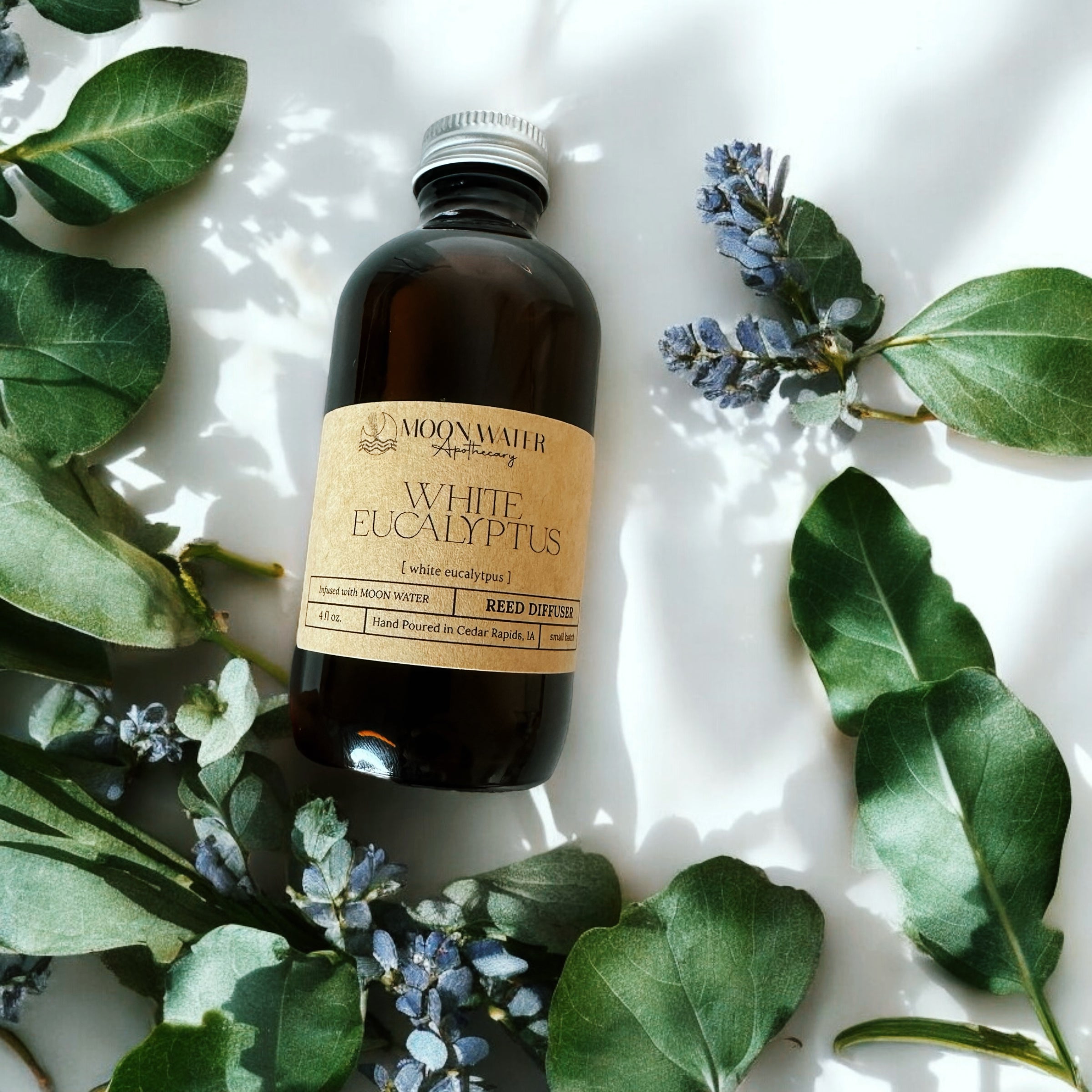 White Eucalyptus - REED DIFFUSER – Fresh Clean Aromatherapy Scent