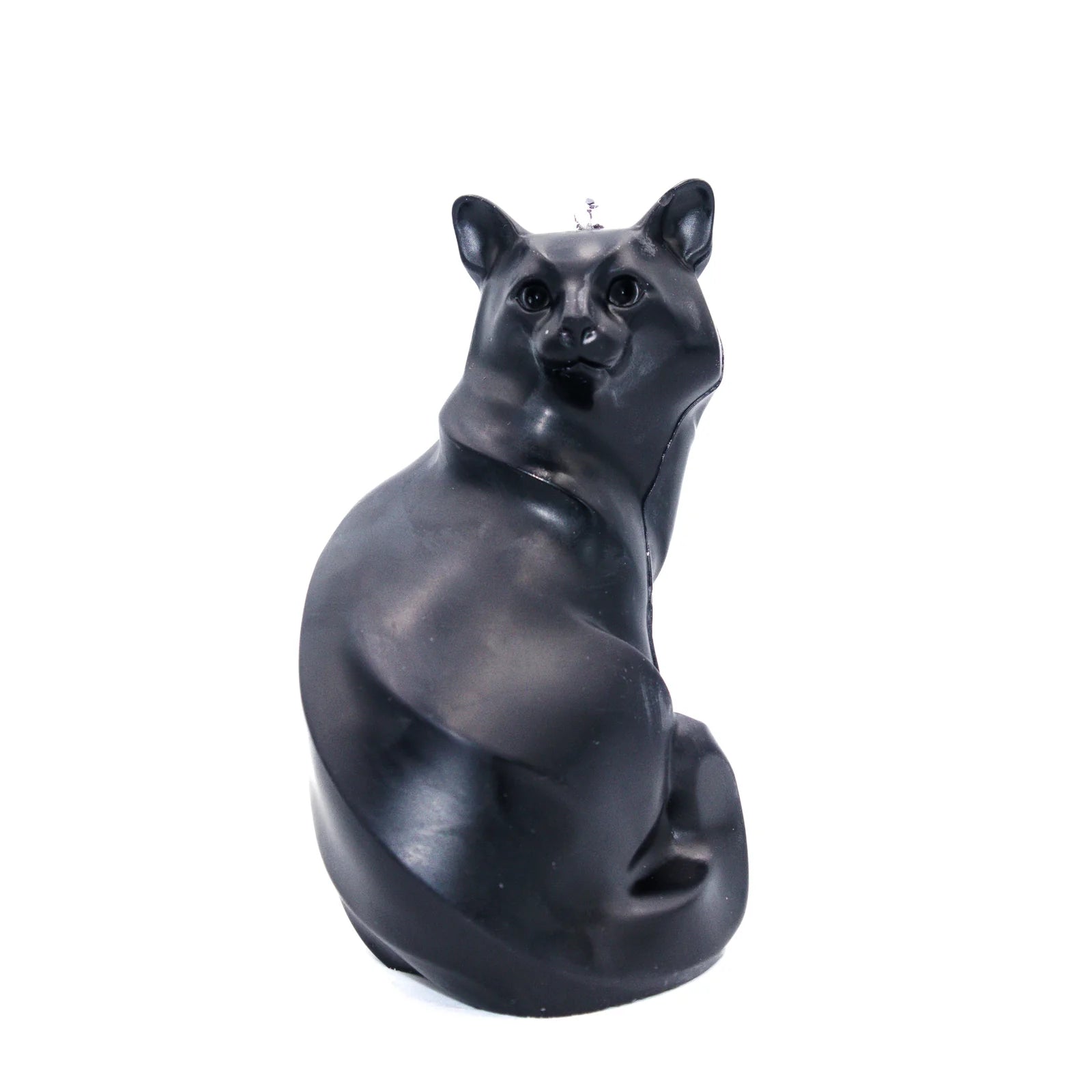 Black Cat | Pillar