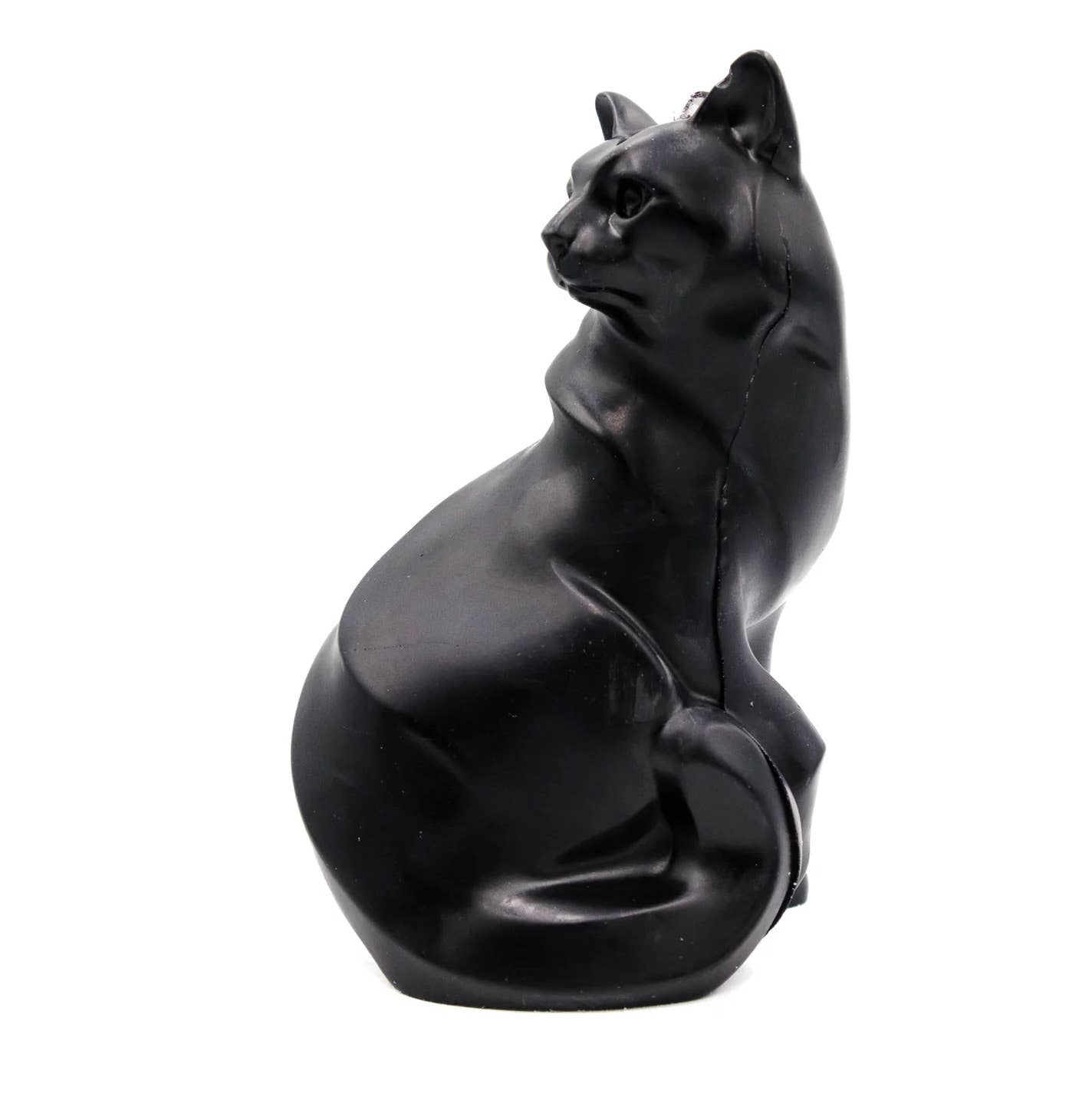 Black Cat | Pillar