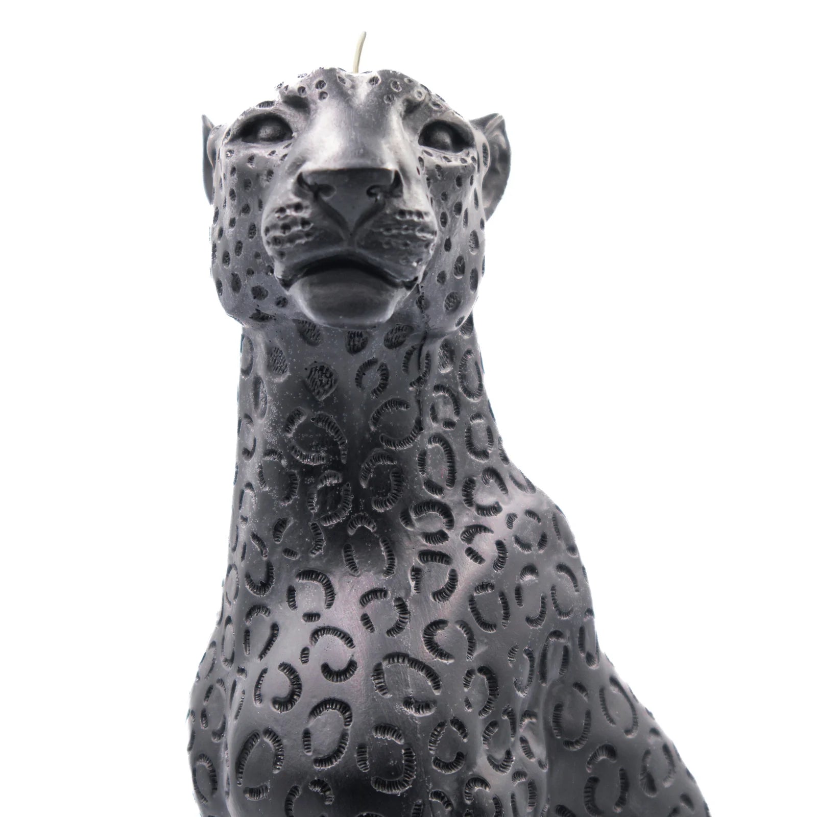 Jaguar | Pillar