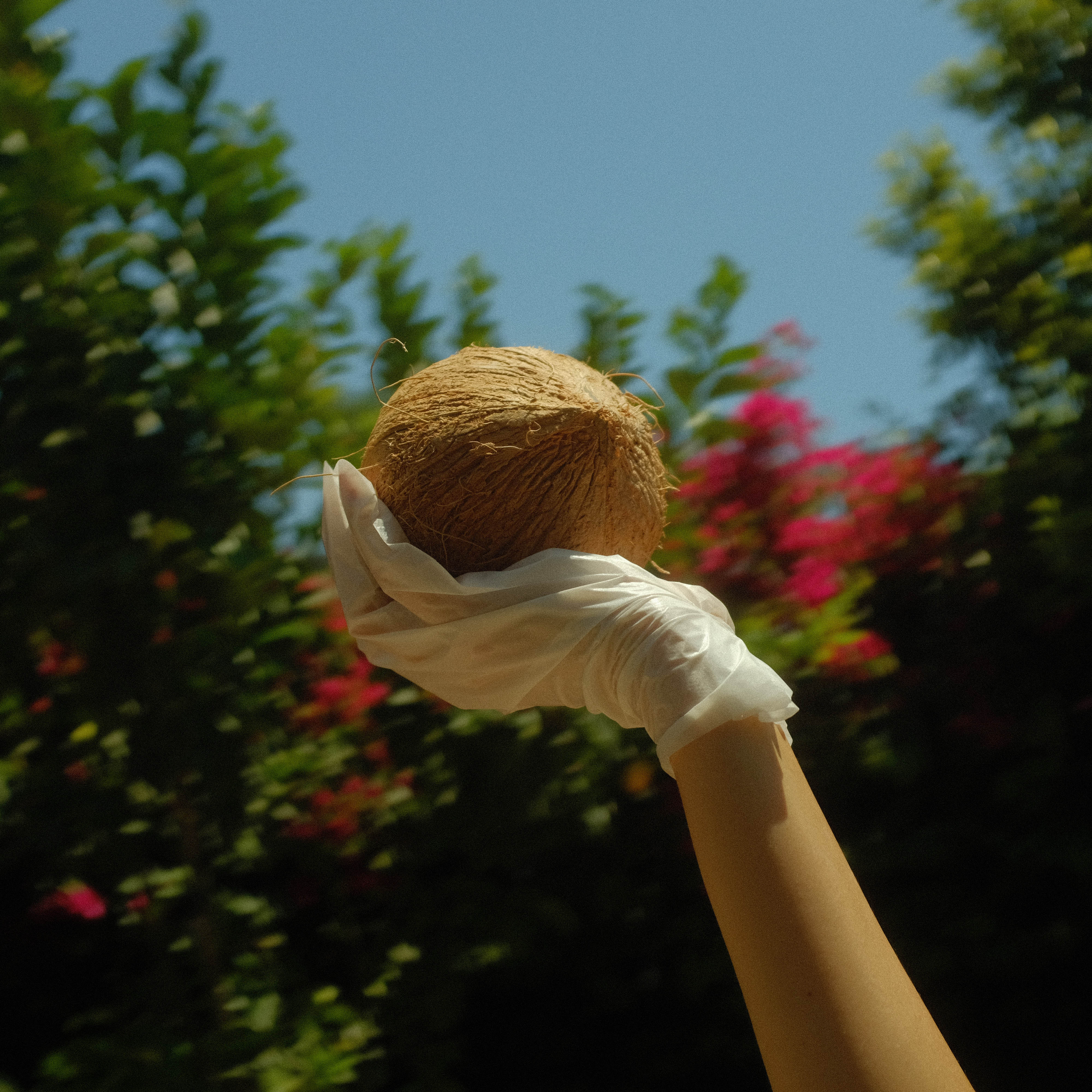 Lapcos Coconut Milk Hand Mask