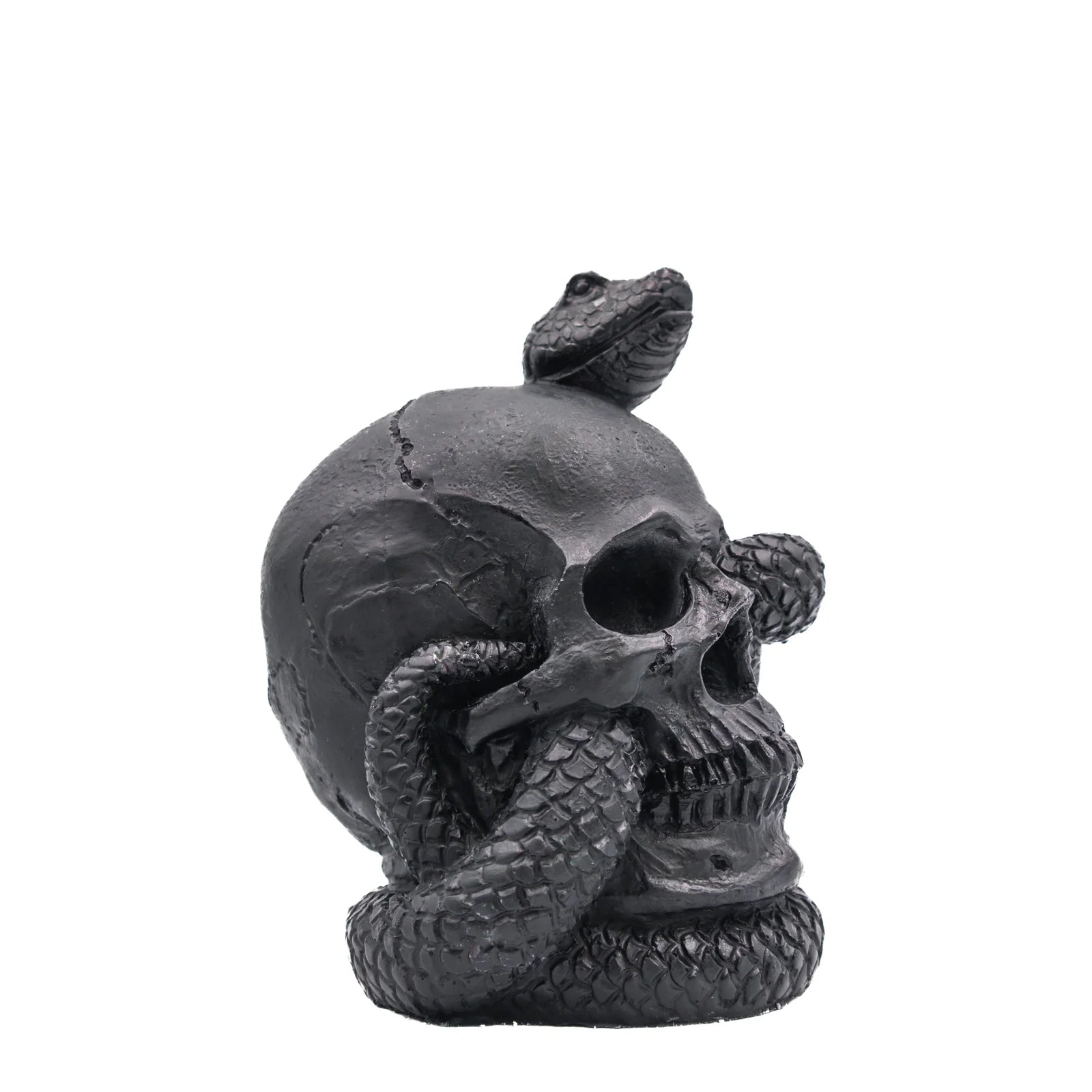 Snake and Skull | Pillar