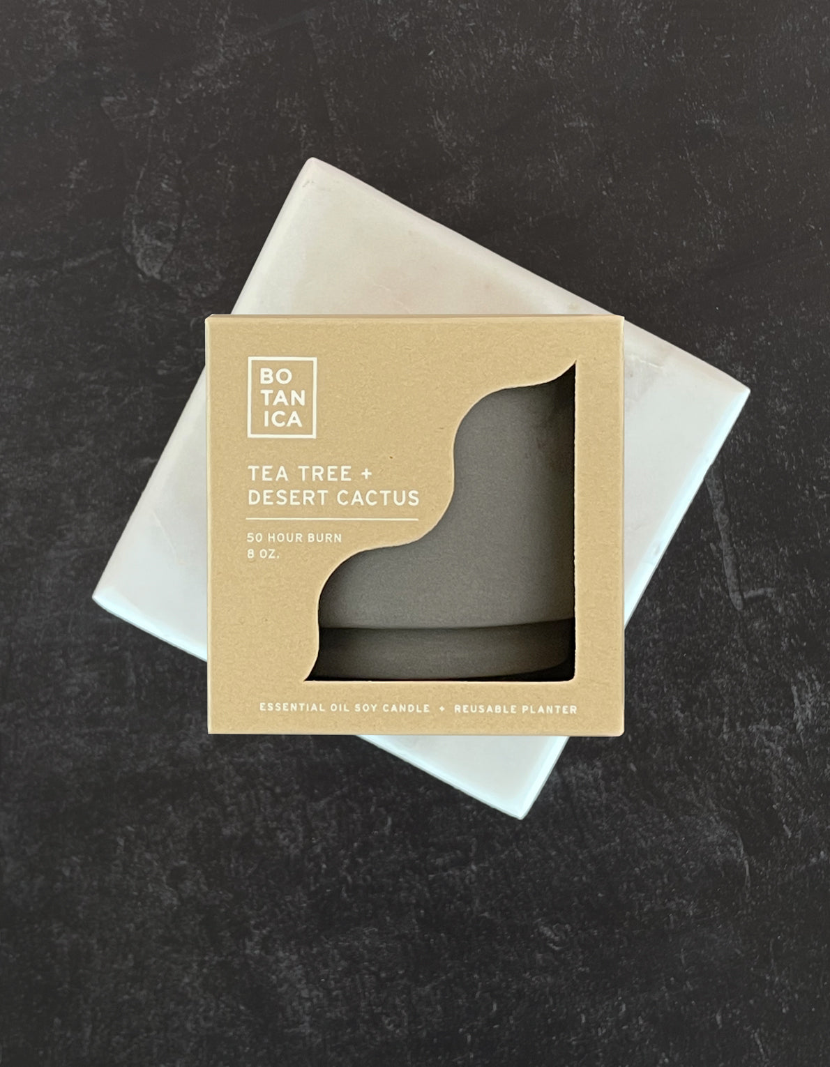 Tea Tree + Desert Cactus | Outdoor Candle