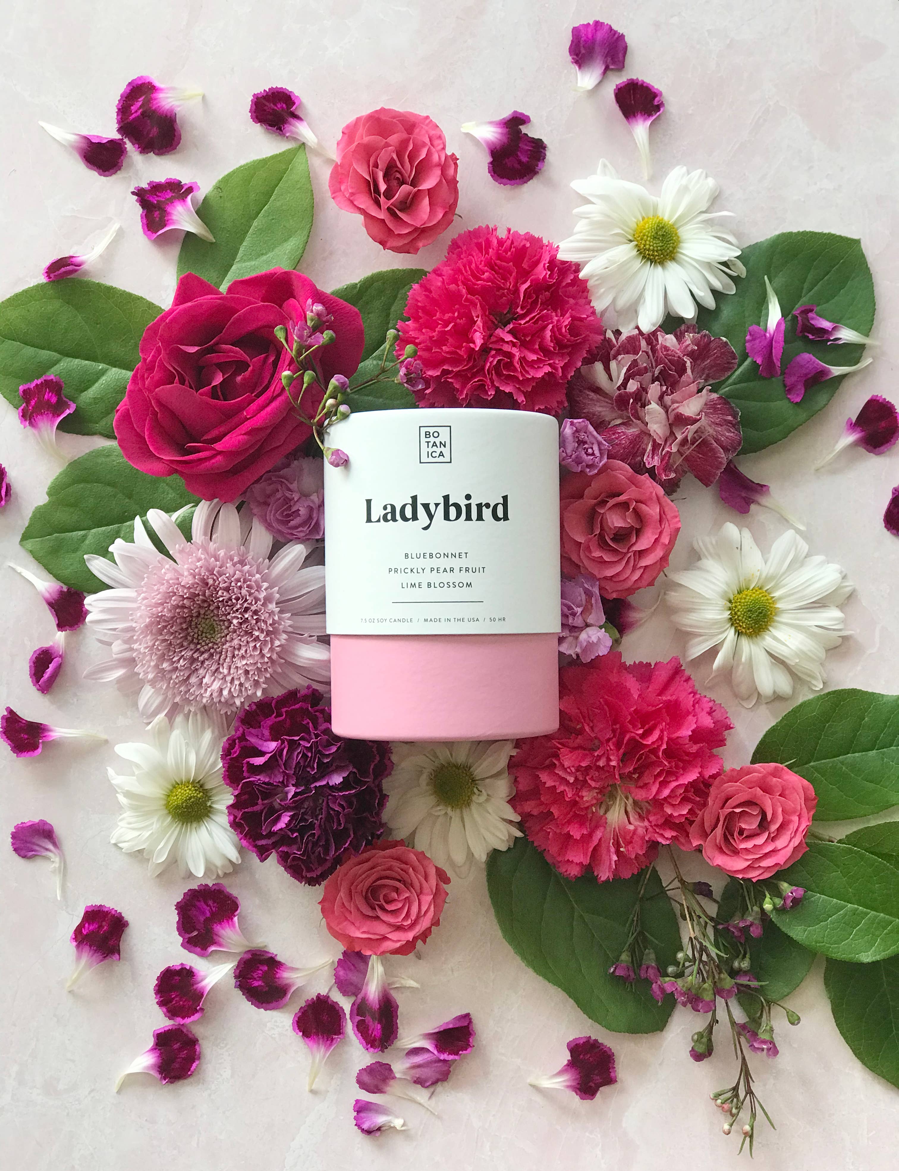 Ladybird Candle | 8 oz