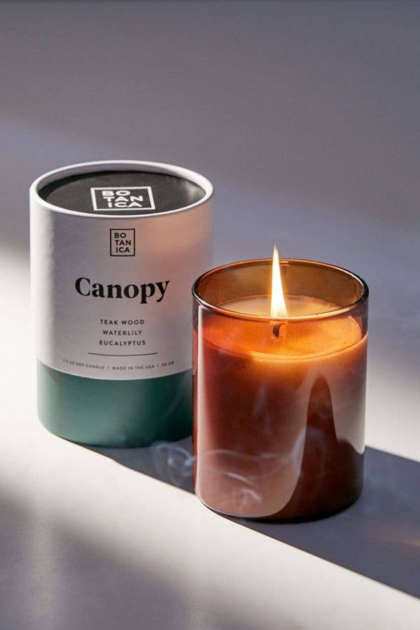 Canopy Medium Candle | 7.5oz