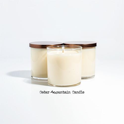 Elf Syrup & Spaghetti 9 oz Jar Soy Candle - Winter Scents
