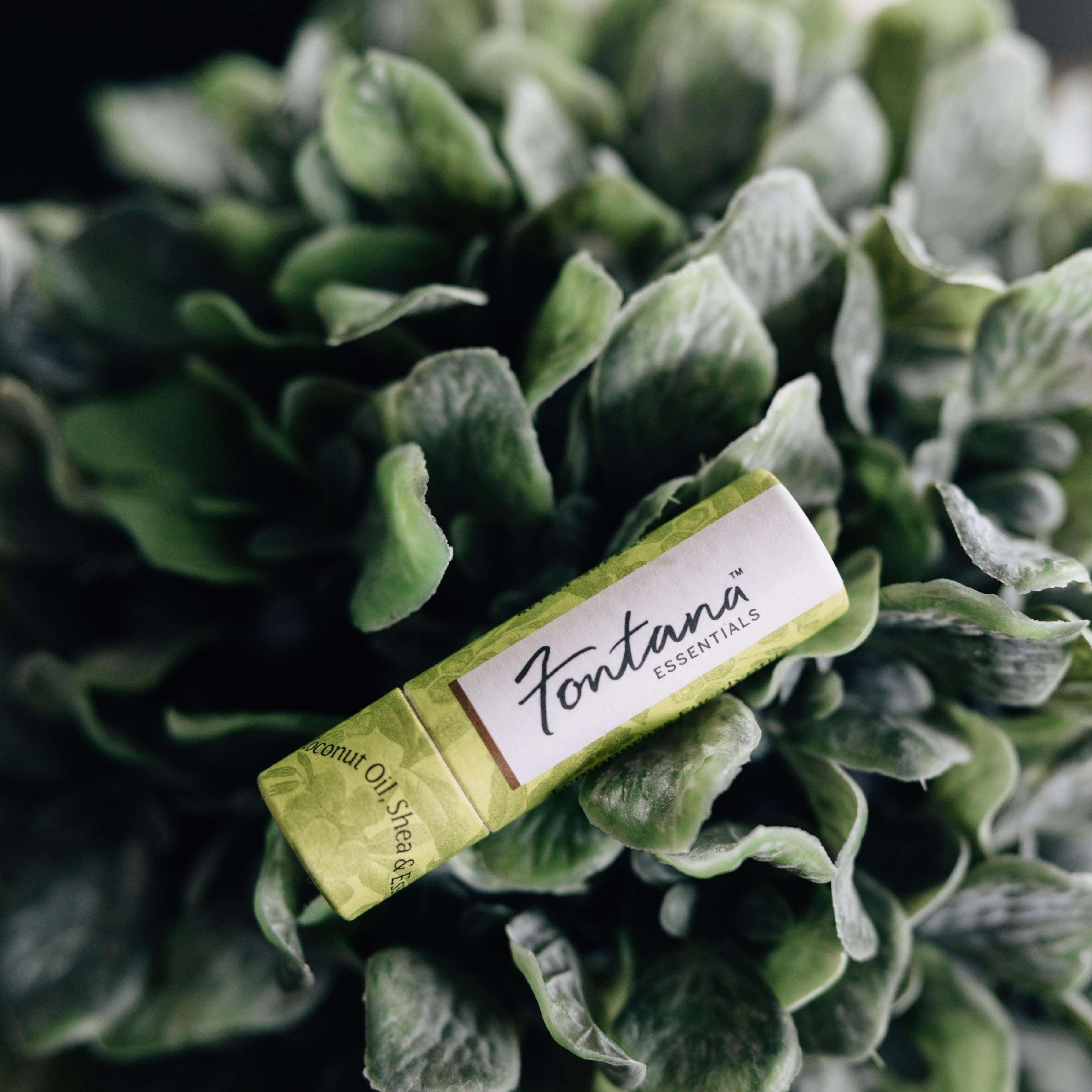 Lemongrass Eucalyptus Lip Balm