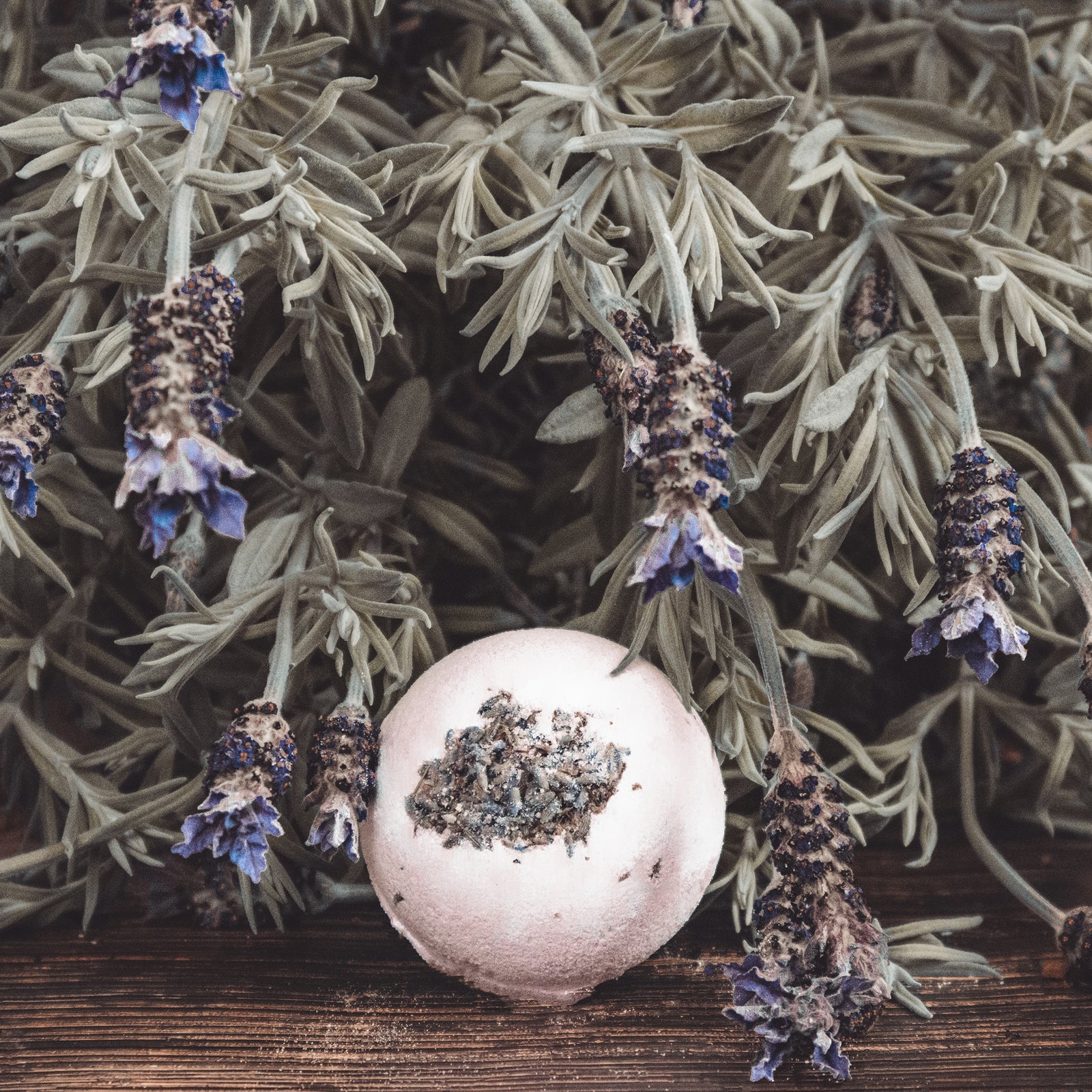 Bardot | French Lavender | Bath Bomb