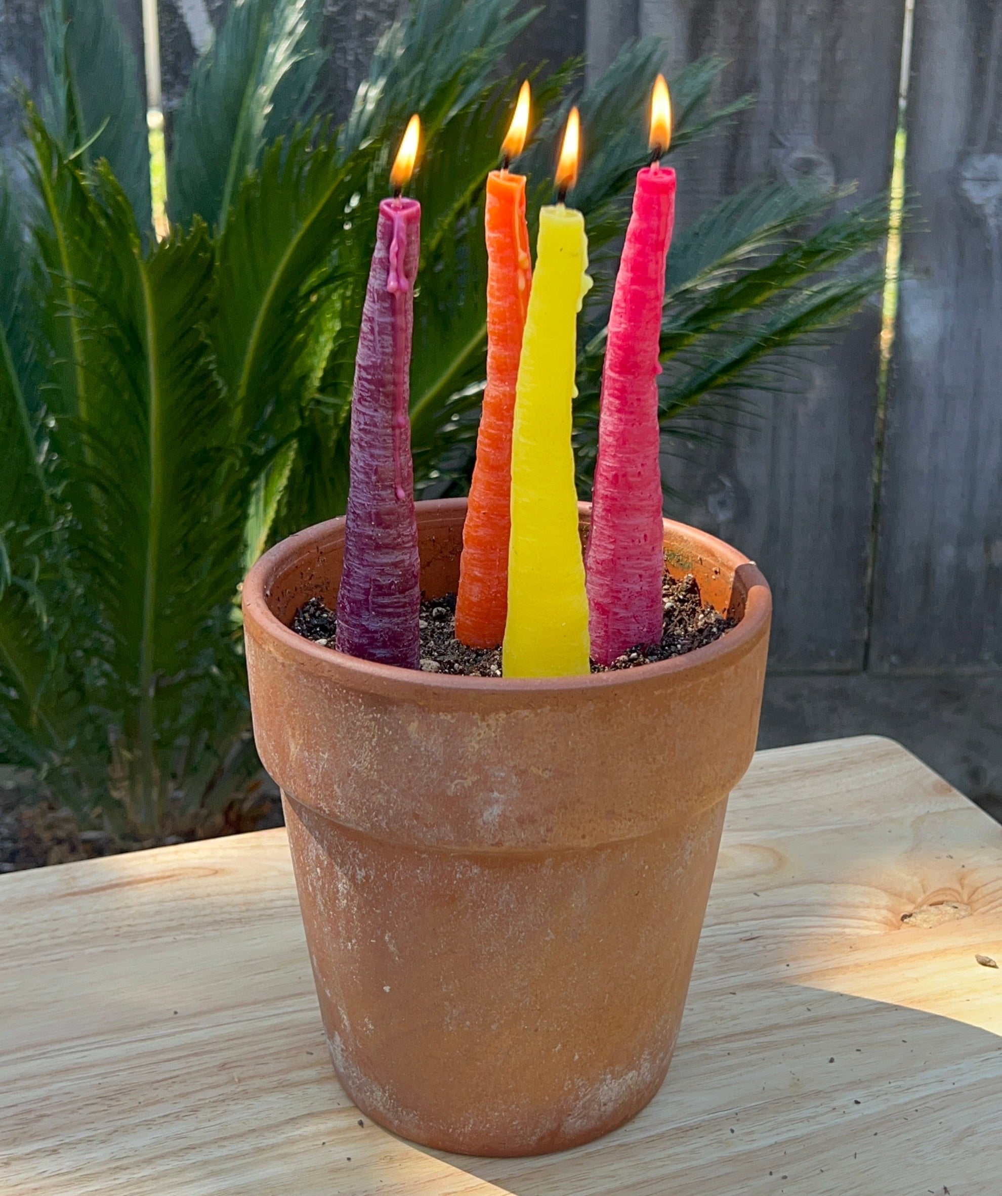 Rainbow Carrot Taper Beeswax Candle - Set of 2