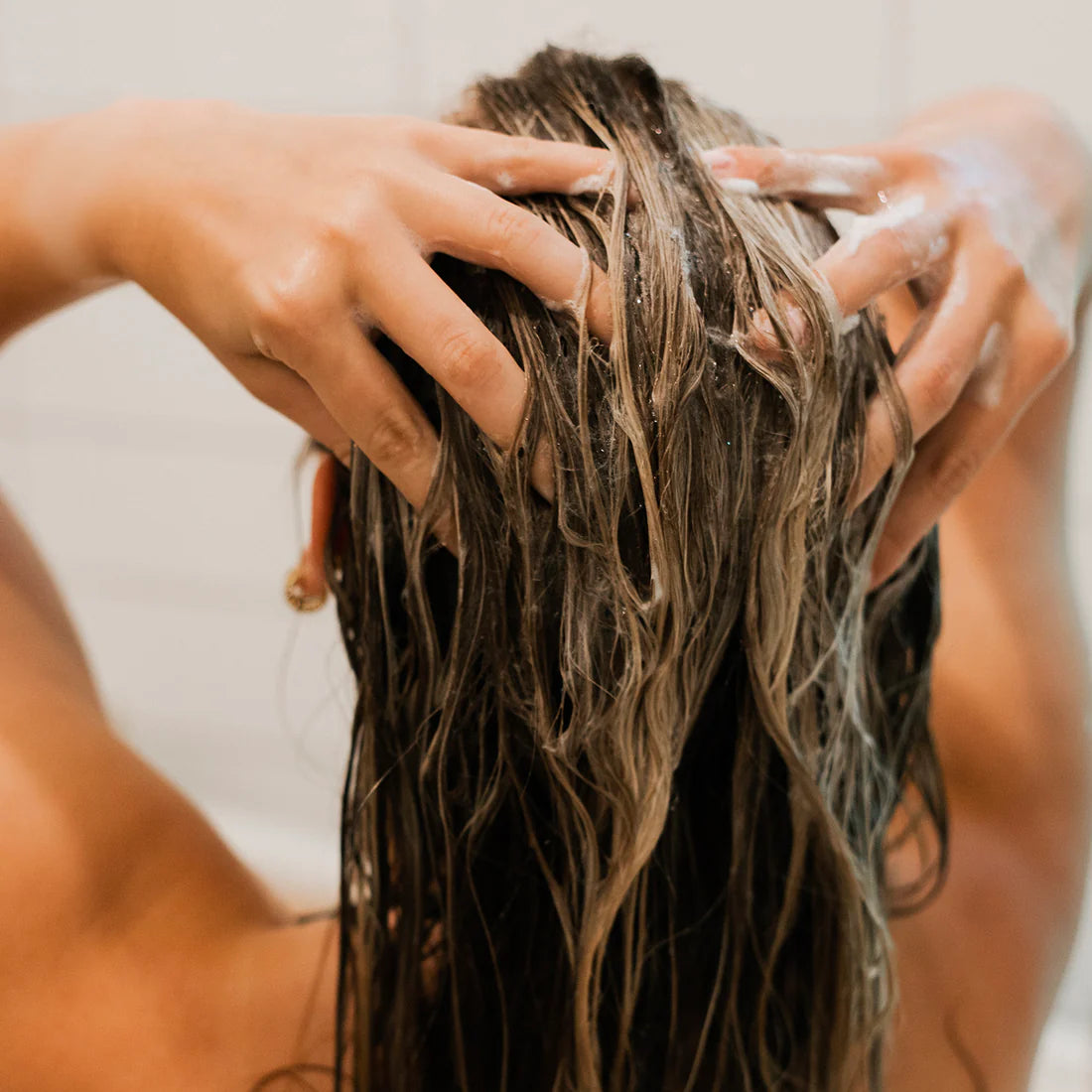 Shampoo bar - Colored and/or white hair