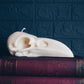 Raven Skull | Pillar