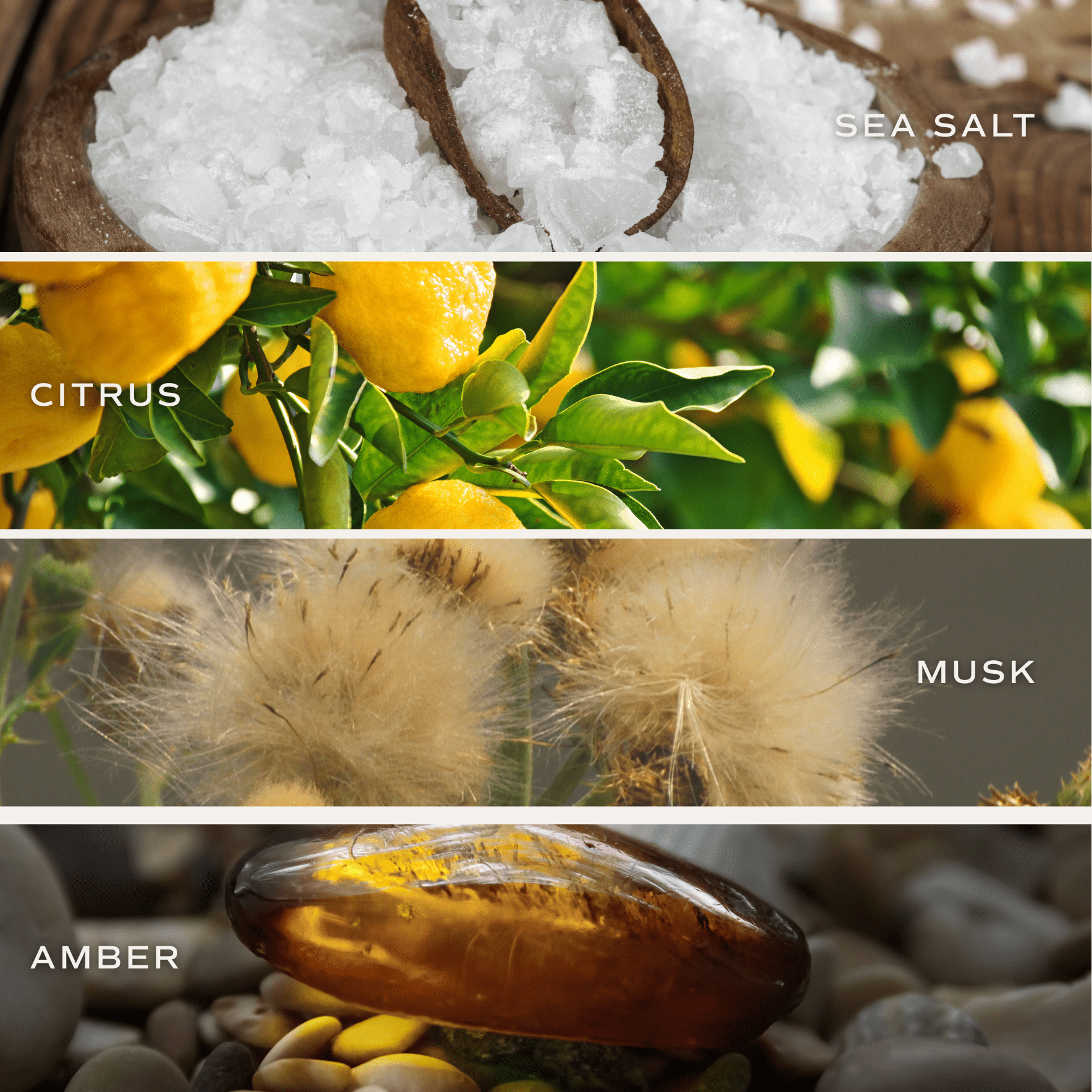 Salt and Sea Tinted Glass Jar Reed Diffuser