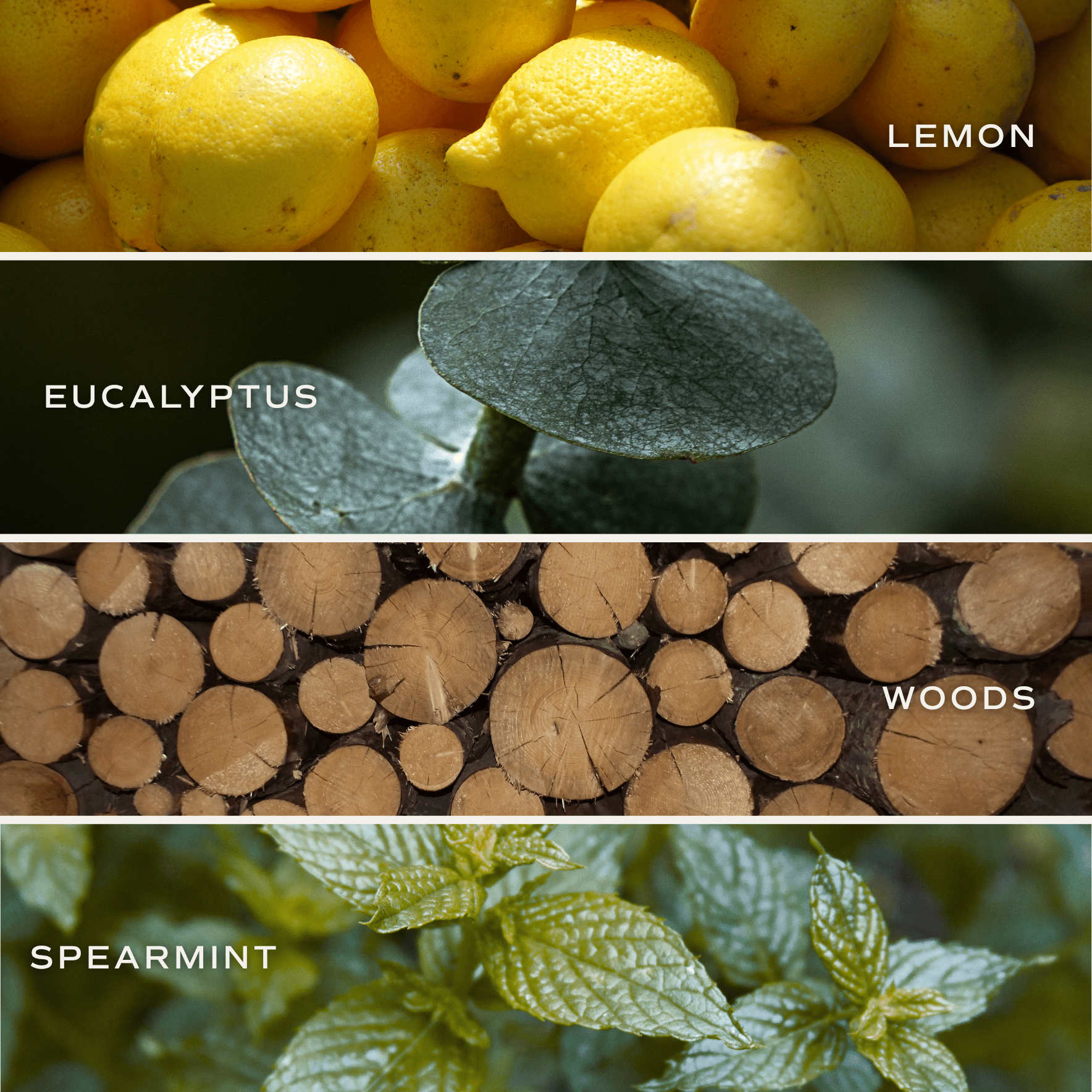 Stress Relief 4.6 oz Bath Bomb