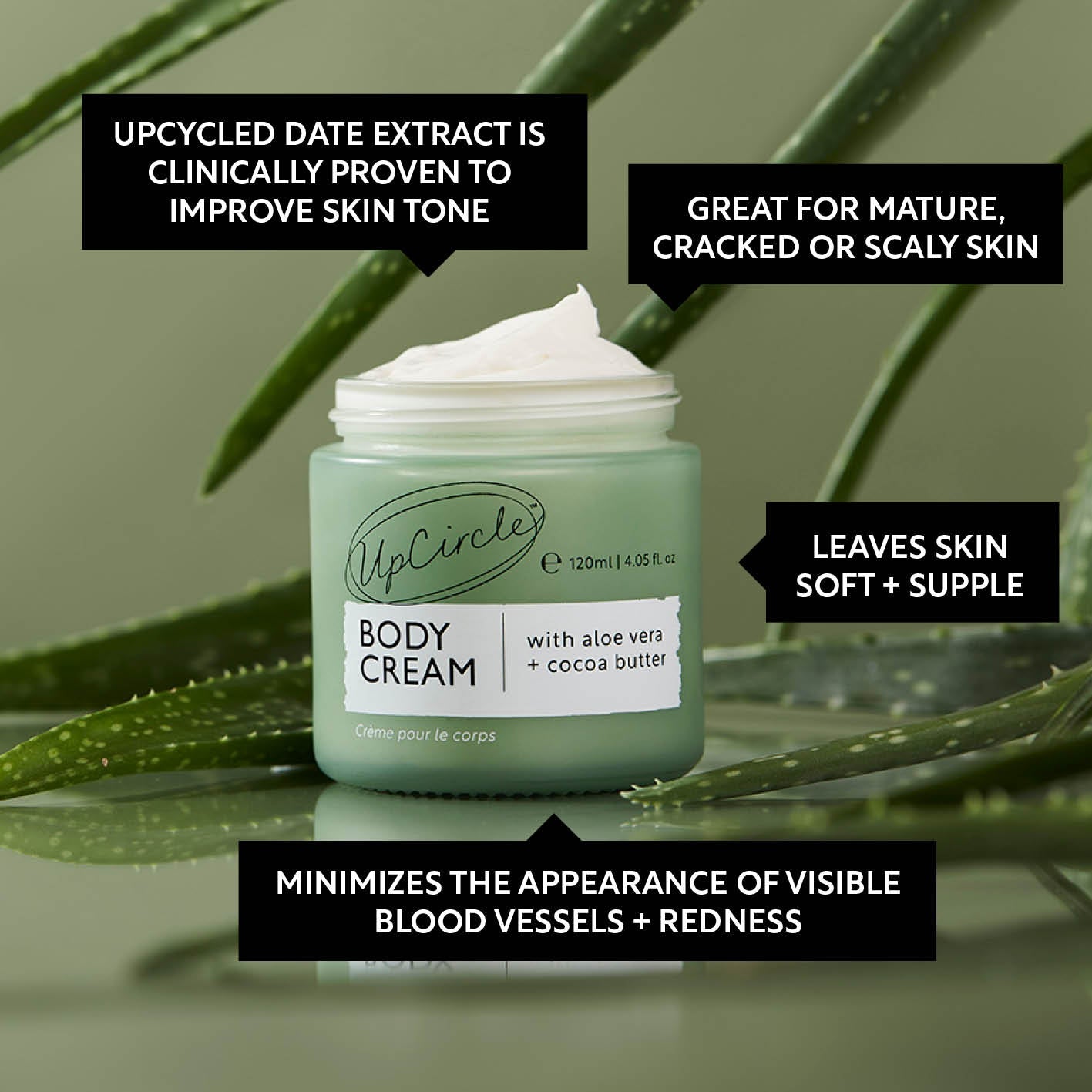 Natural Body Cream with Aloe Vera + Cocoa Butter